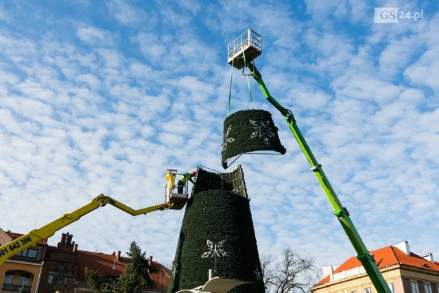 Ta choinka cieszyła mieszkańców Szczecina tylko podczas ubiegłorocznych świąt. Rozłożona leży na terenie jednej z firm i choć podobno jest w dobrej formie, długo jej nie zobaczymy