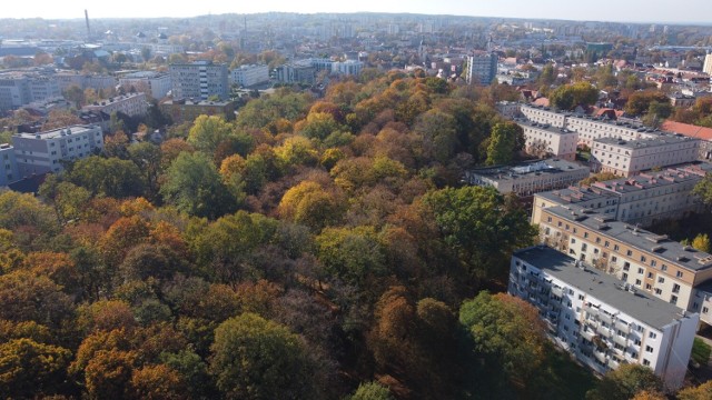 Park Tysiąclecia w Zielonej Górze jesienią mieni się feerią barw