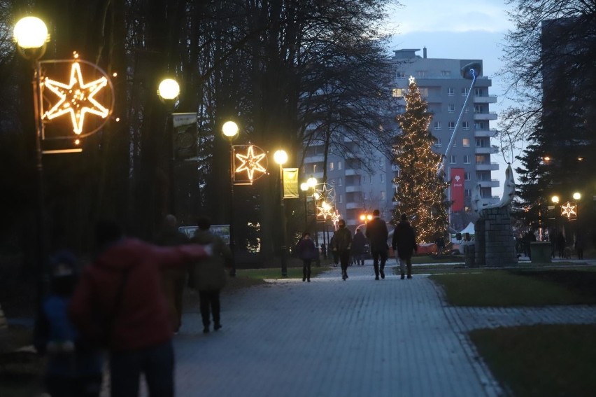 Park Śląski w świątecznej odsłonie. Warto wybrać się tu na...