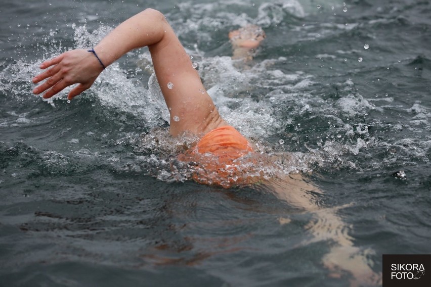 Gdynia Winter Swimming Cup 2020. Uczestników nie wystraszyła lodowata woda o temperaturze 4 stopni Celsjusza. Były za to gorące emocje