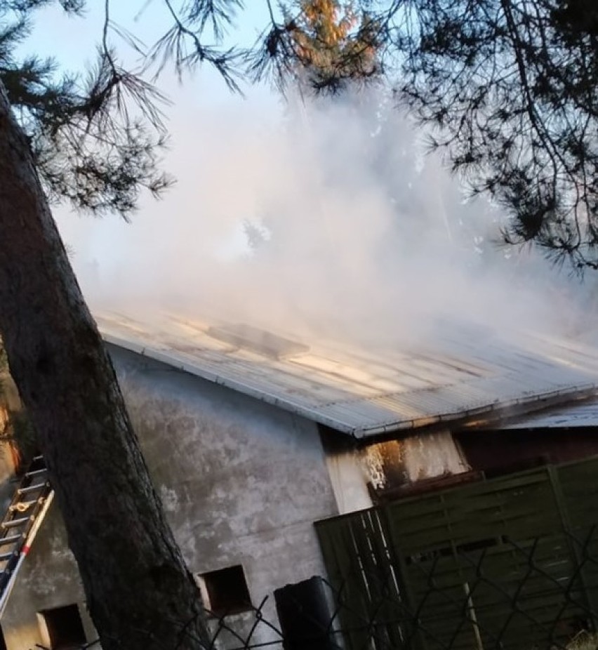 Pożar domu w powiecie włocławskim. W akcji kilka zastępów straży pożarnej [zdjęcia]