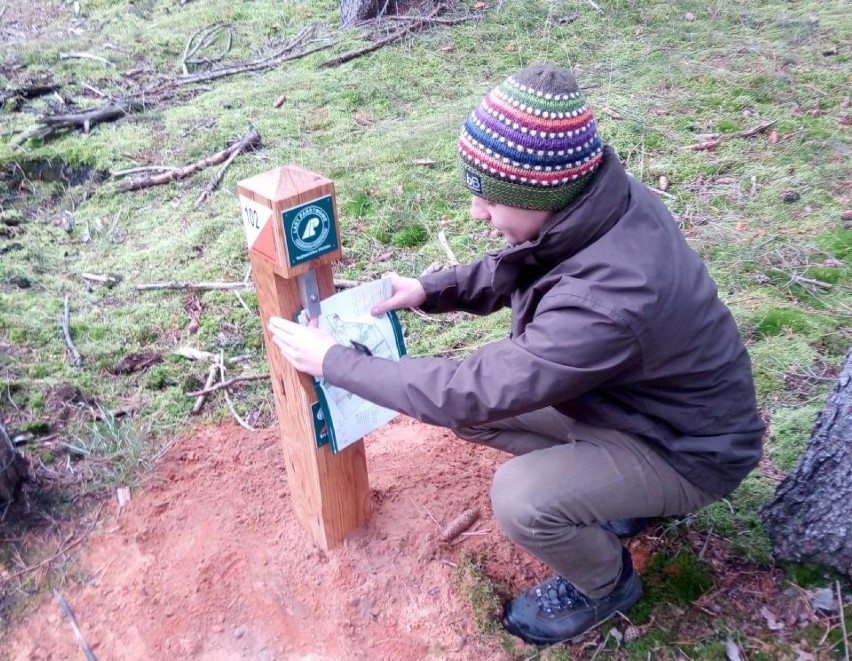 Na terenie Nadleśnictwa Kliniska uprawiać można orienteering