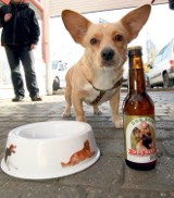 Kup piwo dla zwierzaka. W tych lokalach wypijesz piwo, wspomagając zwierzęta