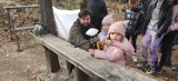 Krotoszyn. Wypuszczą 100 kuropatw w ramach akcji związanej z ochroną zwierzyny drobnej [FOTO]