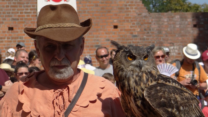 Tak wyglądał turniej rycerski w 2019 roku --> ZDJĘCIA