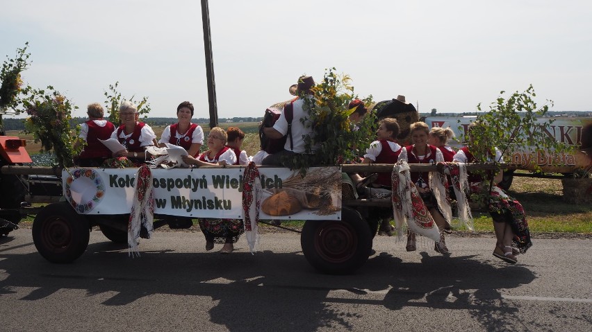 Dożynki gminy Biała tym razem w Brzozie. Było kolorowo i radośnie[foto]