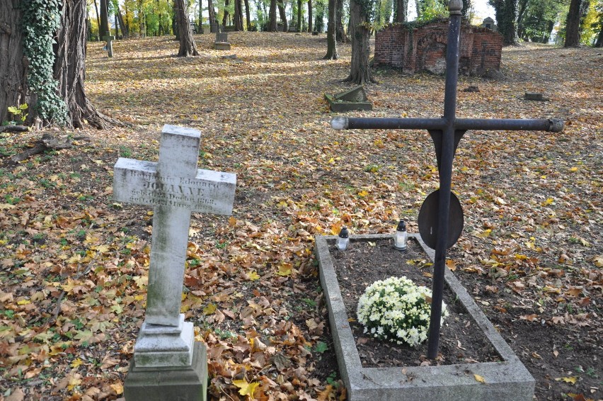 Blisko 230 lat historii. Cmentarz ewangelicki to jedno z najbardziej wartościowych historycznie miejsc w Pleszewie
