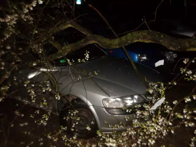 Kolejne burze nadciągają nad Konin