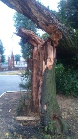 Powalone drzewo przy kościele. Niemal zniszczyło zabytkowy krzyż [FOTO]