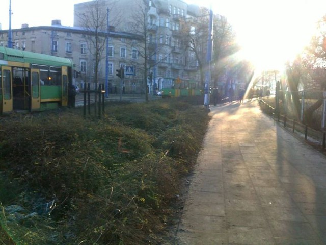 Na Mostowej tramwaj potrącił pieszą