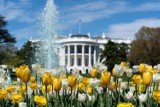 Jak mieszka Joe Biden? Biały Dom można zwiedzić za pomocą aplikacji. To najpilniej strzeżony budynek świata – jakie sekrety skrywa?