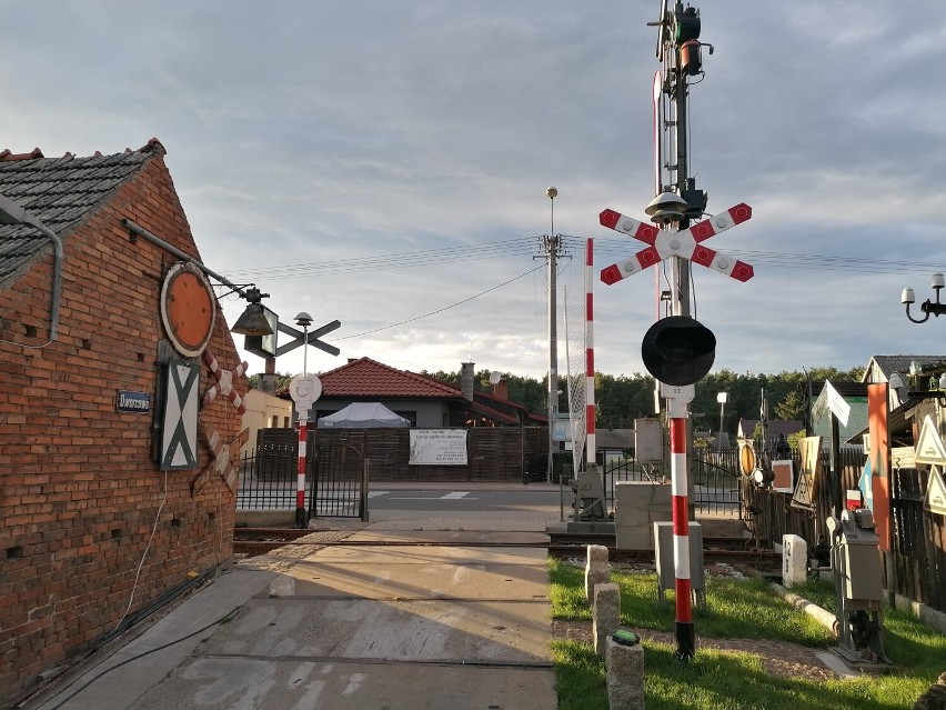 Muzeum w Chojnie chętnie odwiedzają mieszkanki i mieszkańcy...