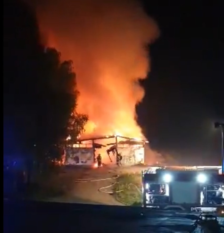 Pożar stajni na Łanowej w Rybniku. Z ogniem walczyło 10 jednostek strażackich