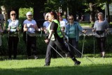 Rozpoczęły się zajęcia Nordic Walking SENIOR w Legnicy, zobaczcie zdjęcia