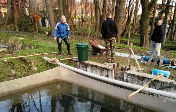 Bielsko-Biała: wędkarze Renegat Fishing Team zarybiali rzekę Białą ZDJĘCIA