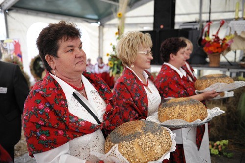 Solniki Małe: Oddech po żniwach (ZDJĘCIA)