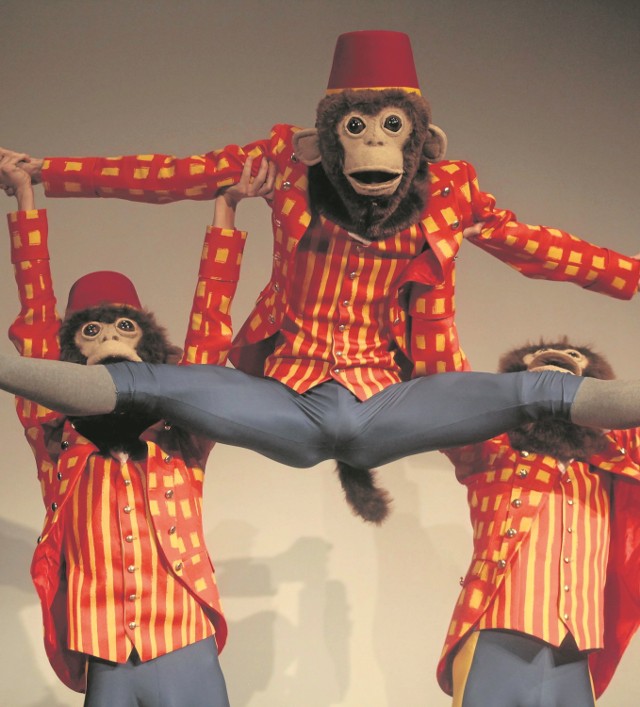 Trzy tańczące małpki w „Dziadku do orzechów” to pomysł Paula Chalmera, choreografa bydgoskiej inscenizacji baletu