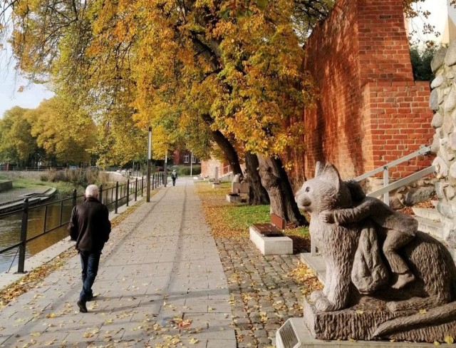 Złota polska jesień w Goleniowie