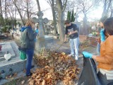 Cmentarz w Opolu Lubelskim. Młodzież posprzątała stare mogiły (ZDJĘCIA)