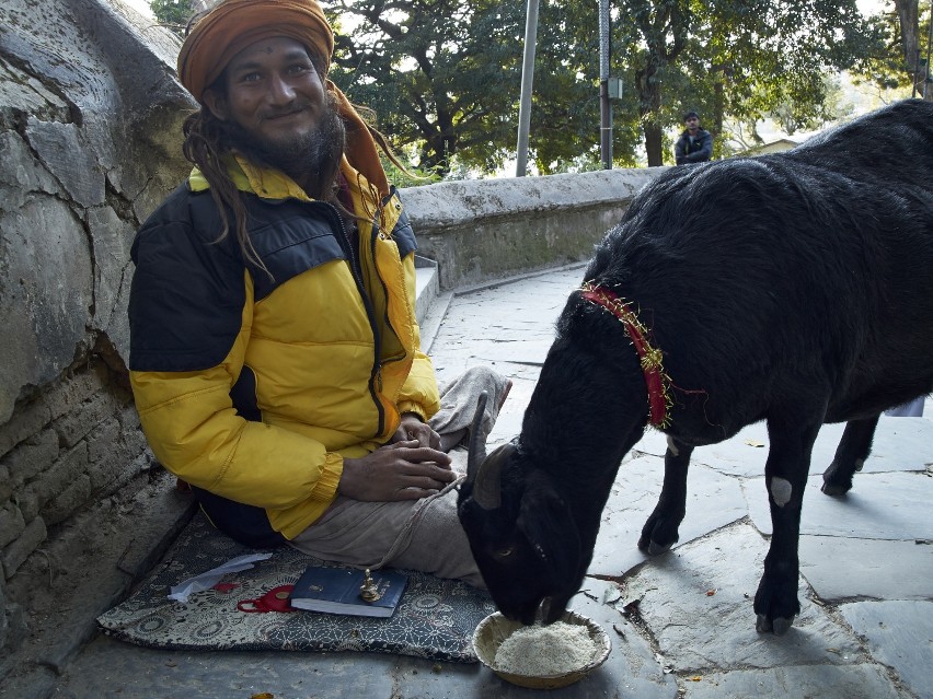 Kathmandu - żebrak przy świątyni obok Gaty (miejsca stosów pobrzebowych). Mimo kalectwa - bez nogi, łagodny uśmiech i opieka nad zwierzęciem - kozę karmi ryżem
