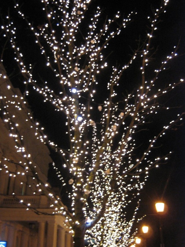 Świąteczna iluminacja w stolicy. Fot. Ewa Krzysiak