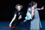 Festiwal Teatrów Tańca: Zatańczyć uczucia (zdjęcia)