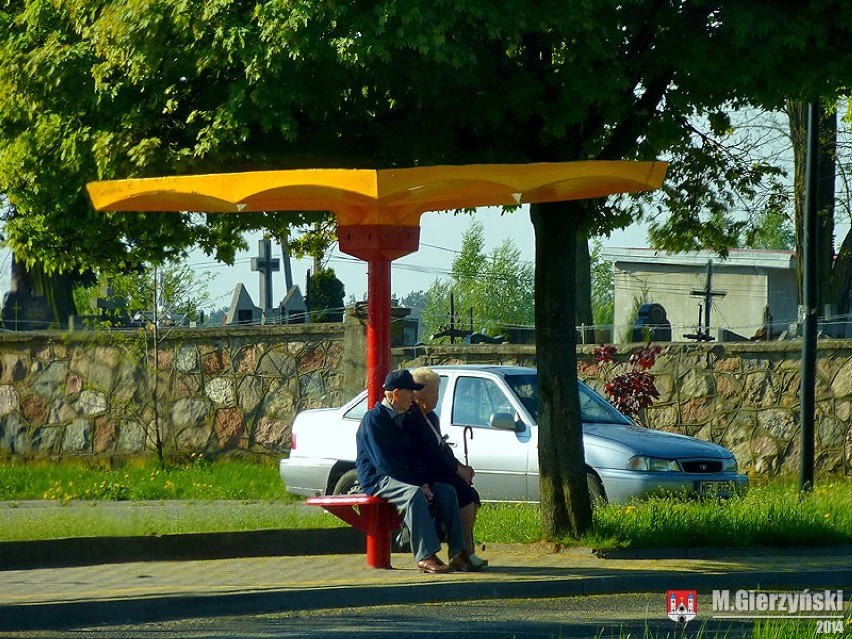 Nowe wiaty przystankowe w Płocku. Sprawdź lokalizacje!