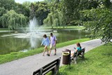 Staw w parku miejskim w Kielcach będzie oczyszczony. Park też czeka modernizacja. Jak będzie wyglądał? Mamy wizualizacje 