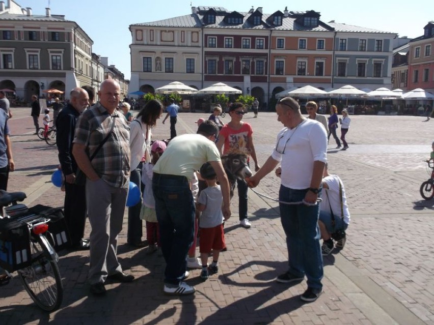 Zamojski Wyścig Rowerowy dla Najmłodszych w Zamościu