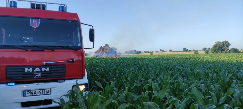 Pożar pola i stogu pod Mieściskiem. Z ogniem walczyło kilka zastępów straży