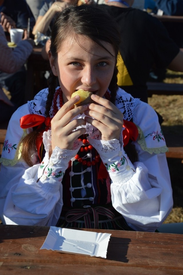 X Powiatowe Święto Ziemniaka w Brzustowie