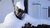 Zima w Darłowie w obiektywie mieszkanki tego miasta - zdjęcia Internautki