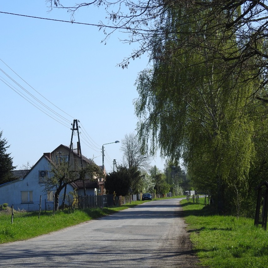 Na szlaku żuławskich wsi. Podzielona rzeką i wyznaniami wieś żuławskich przewoźników