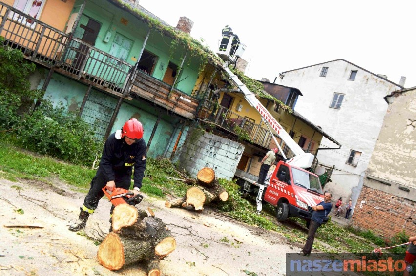 Drzewo przewróciło się na kamienice przy ulicy 3 Maja we Włocławku