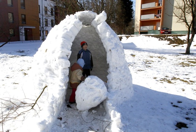 -&nbsp;Piękną mamy zimę tej wiosny - żartują studenci ZUT. Żeby ...