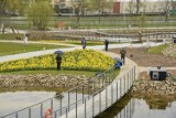 Otwarcie Ogrodu Botanicznego w Kielcach. W weekend majowy wstęp za złotówkę (ZDJĘCIA, WIDEO)