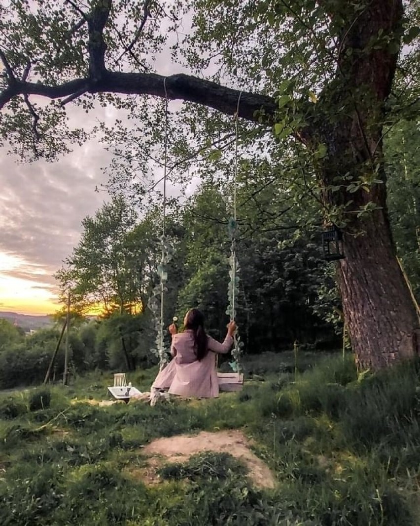 Huśtawka na terenie Dzikiego Spa w Dusznikach-Zdroju.