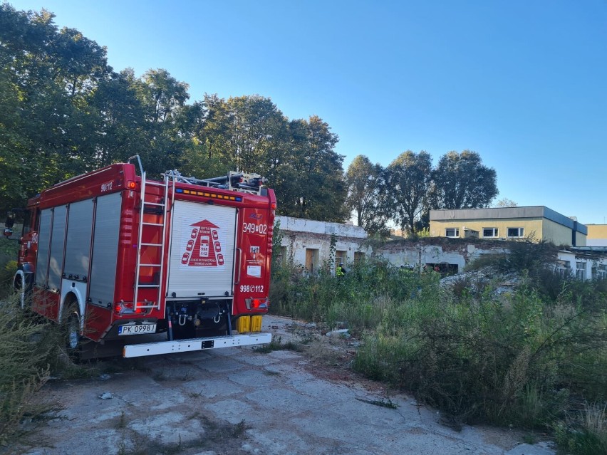 Pożar pustostanu w Kaliszu. Dwie osoby ewakuowane