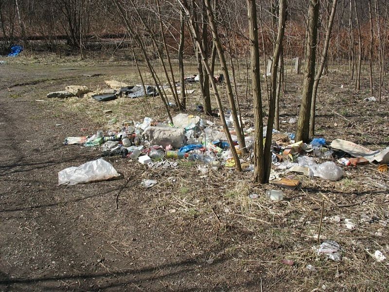 Mieszkańcy informują: śmieci są stałym elementem towarzyszącym spacerom po Piaskach w Czeladzi