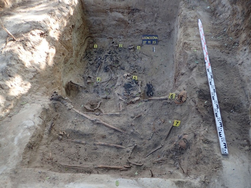 Pod Gnieznem znaleziono masowy grób żołnierzy