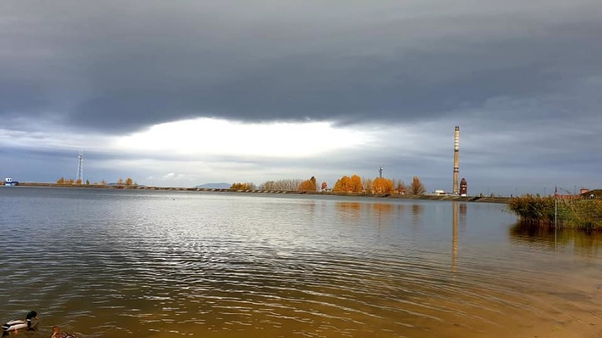 Jezioro Bielawskie świetny pomysł na spacery