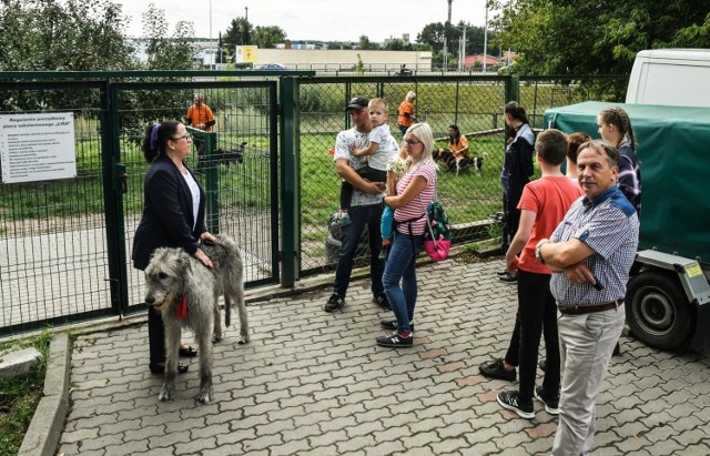 Schronisko dla Zwierząt w Bydgoszczy w sobotę (29.08.) otworzyło swe drzwi dla gości. Każdy mógł przyjść i poznać lepiej pracę oraz bieżące potrzeby bydgoskiego azylu dla zwierząt. Po obiekcie oprowadzała osobiście dyrektor schroniska Izabella Szolginia. 

Czytaj dalej >>