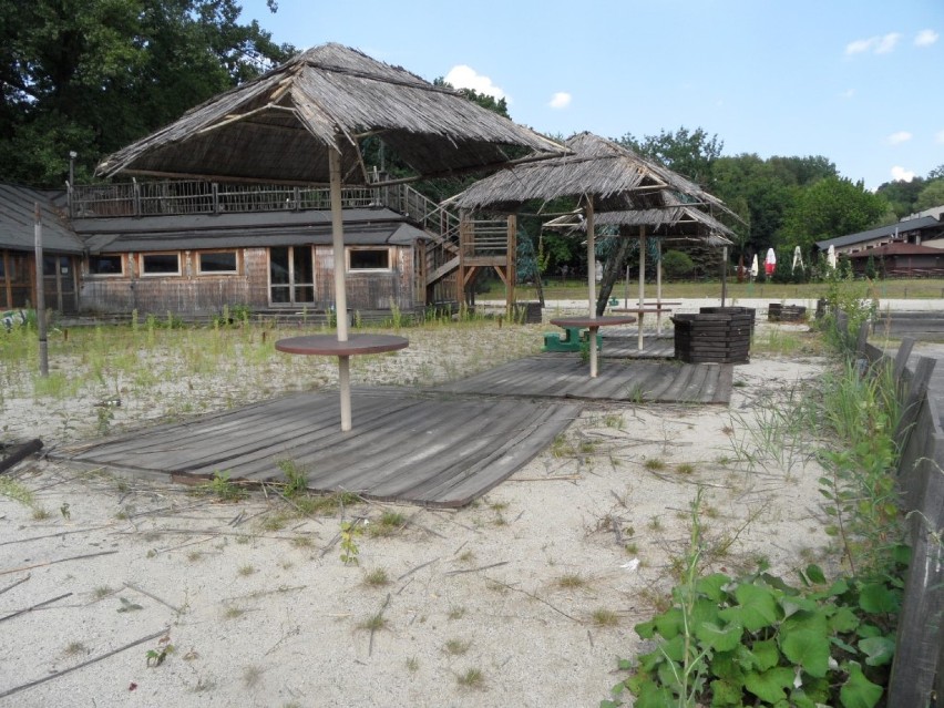 Park Śląski: W Chorzowie możemy spędzić czas na plaży