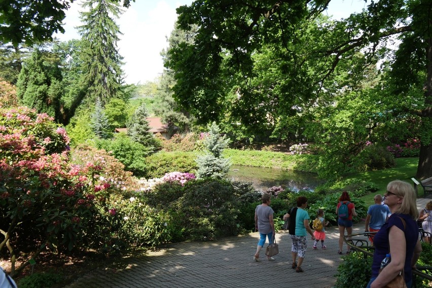 W niedzielę rozpocznie się sezon w Arboretum Wojsławice. Na dzień otwarcia w programie wystawy, koncert, kiermasz i spacer z przewodnikiem