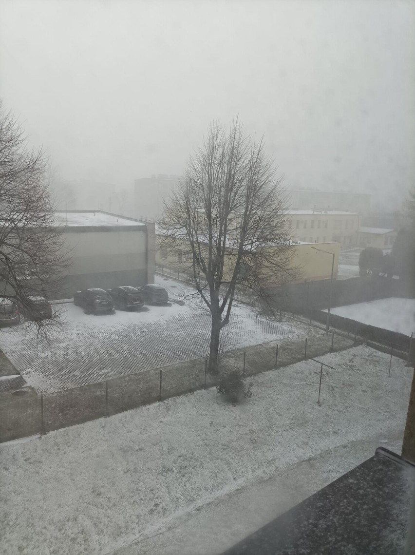 Śnieżyca w Katowicach. Na kilka minut pod śniegiem zniknęły ulice, auta, domy... Zobacz ZDJĘCIA mieszkańców