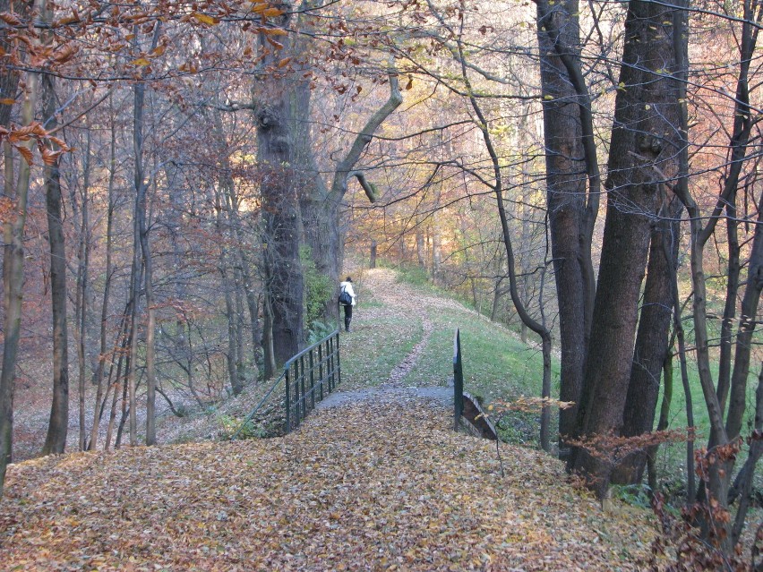 Piękna złota jesień w parku repeckim w Tarnowskich Górach [ZDJĘCIA]