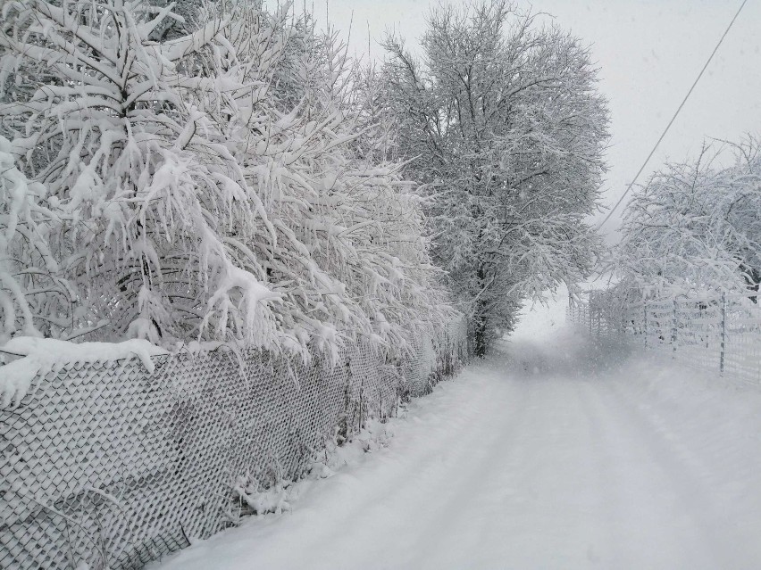 Dzisiejsza zima w okolicach Przemyśla.