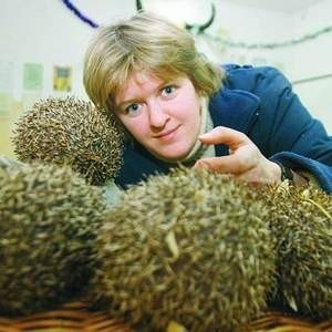 Ewa Kussowska, pracownik zoo prezentuje oliwskie jeże.
Fot. Robert Kwiatek