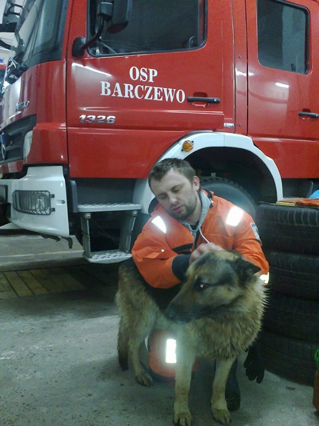 Strażacy poszukują właściciela psa