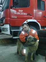 Strażacy z Barczewa poszukują właściciela psa